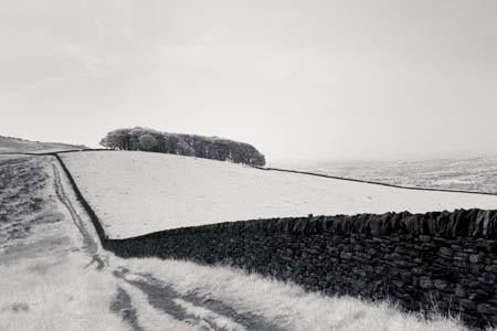 IOIMG_8805_1