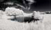 IOIMG_8691 pano