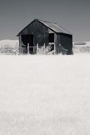 IOIMG_0393_1