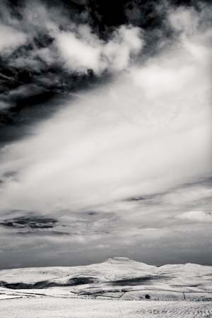 IOIMG_9687_1