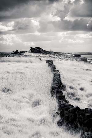 IPIMG_0138_1