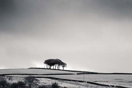 IPIMG_0459_1
