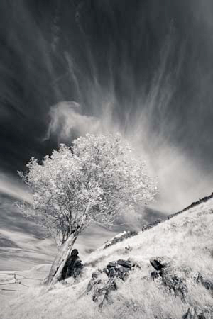 IPIMG_0353_1