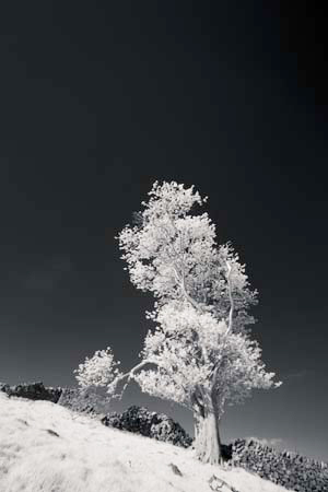 INIMG_2249_1