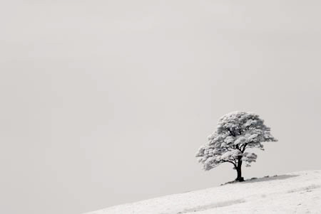 IOIMG_8818
