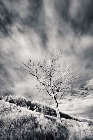 IPIMG_0682