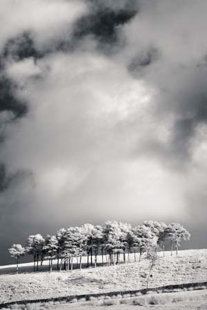 IPIMG_1016