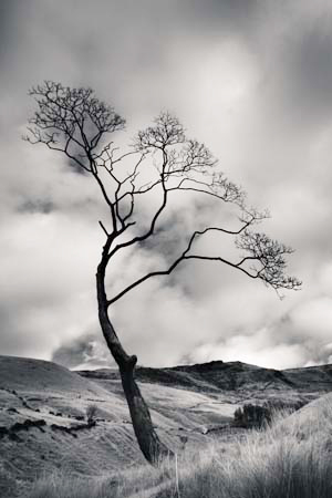 IPIMG_1078