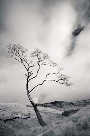 IPIMG_1084