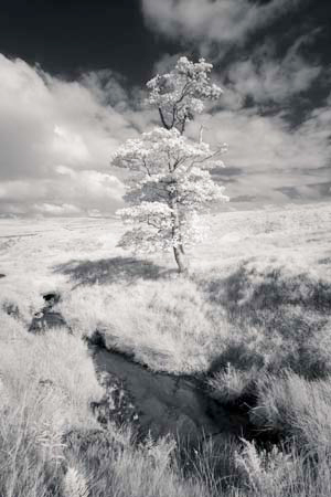 IOIMG_8559_1