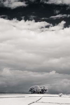 IPIMG_0159_1