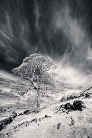 IPIMG_0334_1