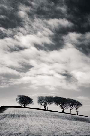 IPIMG_0602_1