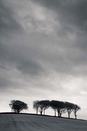 IPIMG_0650_1