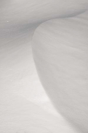 637W2665_1