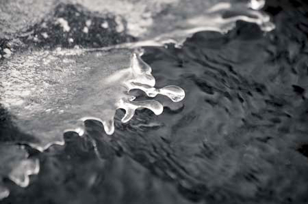 AD637W1529_1