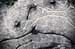 AB637W7356_1