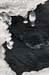 AD637W1426_1
