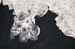 AD637W1429_1