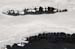 AD637W1433_1