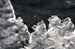 AD637W1488_1