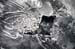 AD637W1498_1