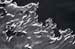 AD637W1542_1