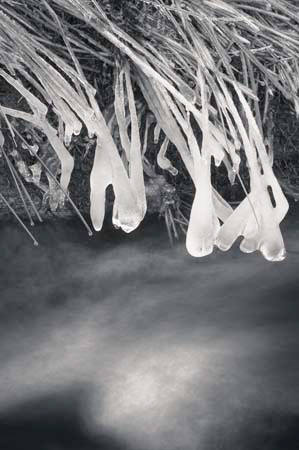 AD637W1682_1