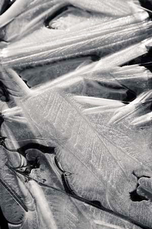 AD637W6051_1