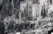 AD637W1464_1