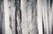 AD637W1497_1