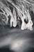 AD637W1682_1