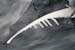 AD637W1689