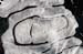 AD637W6048_1