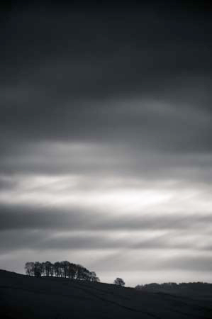 AD637W1850_1