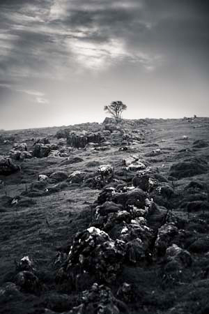 AD637W2060_1