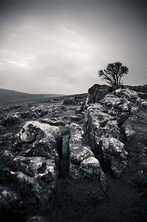 AD637W2067_1