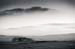 AD637W1737_1