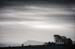 AD637W1837_1