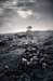 AD637W2060_1