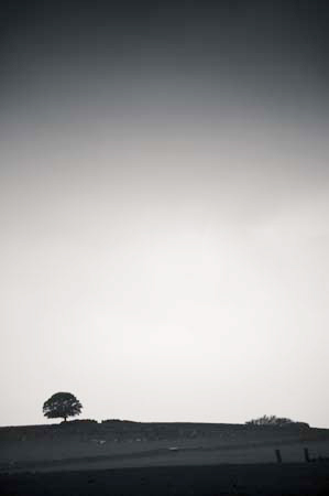 AD637W3257_1