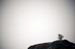 AB637W7361_1
