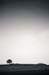 AD637W3257_1