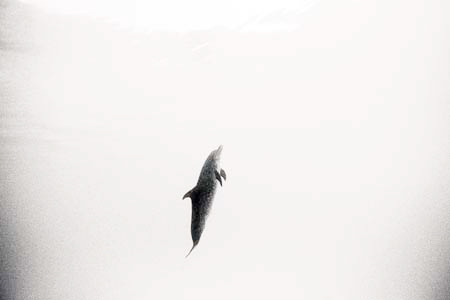 a09 n05835f