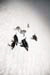 a20 s102273a