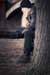AD637W0979